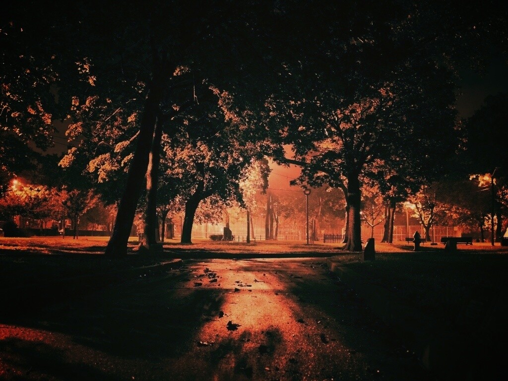 Ночной парк обои