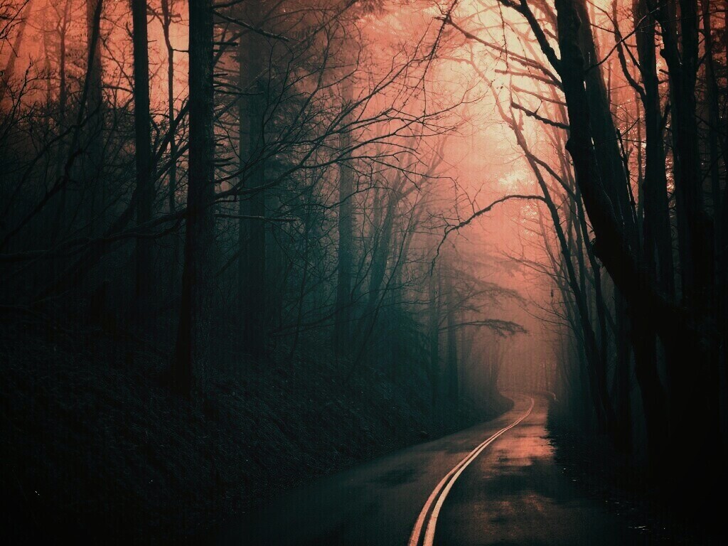 В туман обои