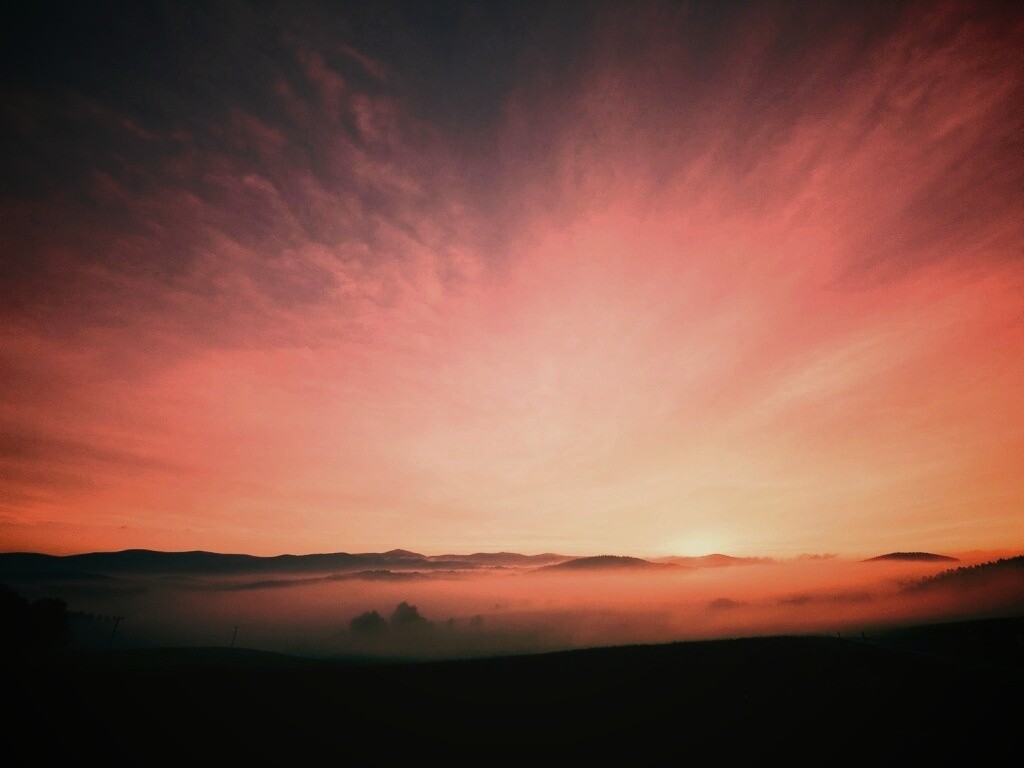 Утренний туман обои