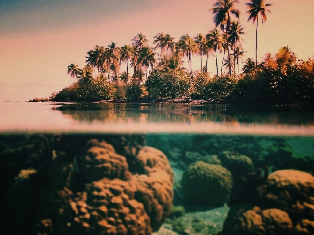 Из-под воды обои