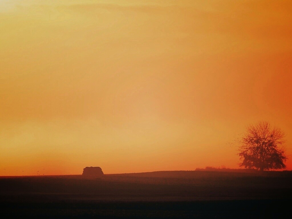 Убранное поле обои