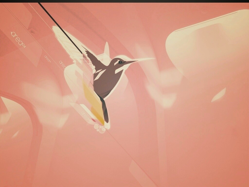 Логотип-колибри обои