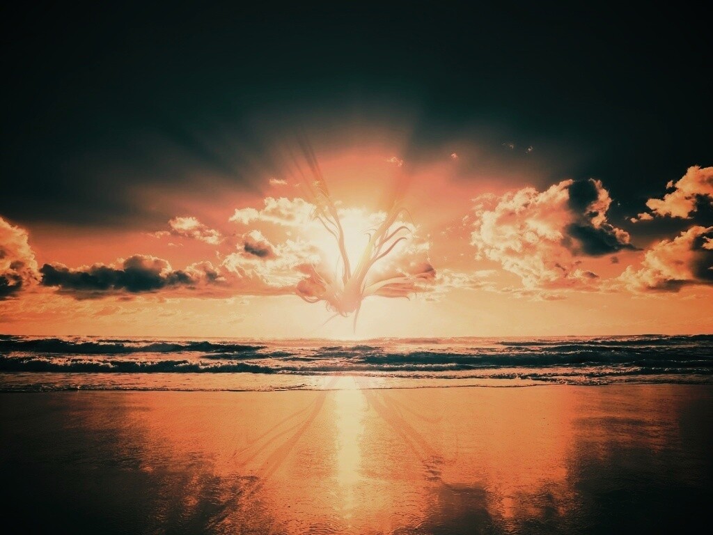 Абстрактные перья на фоне заката обои