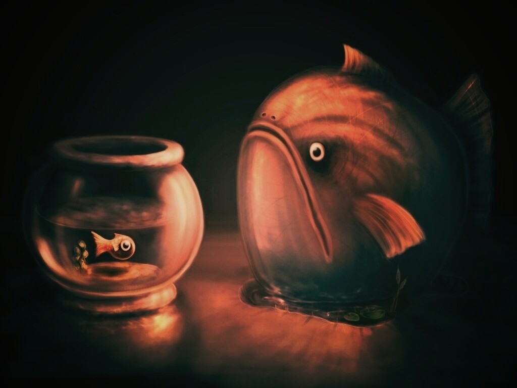 Большая и маленькая рыбки обои