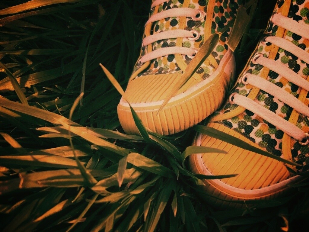 Желтые кеды в горошек обои