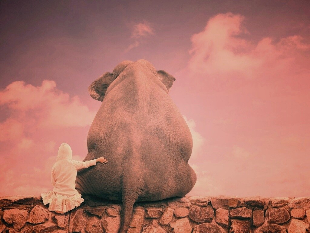 Девочка и слон обои