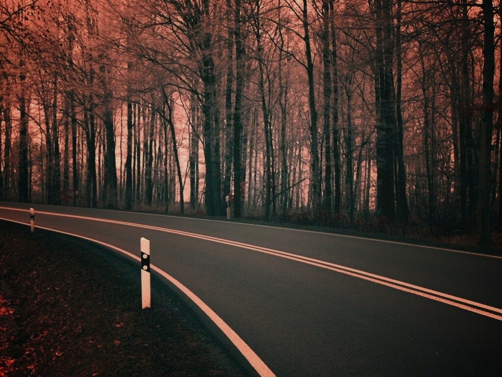 Дорога в осеннем лесу обои