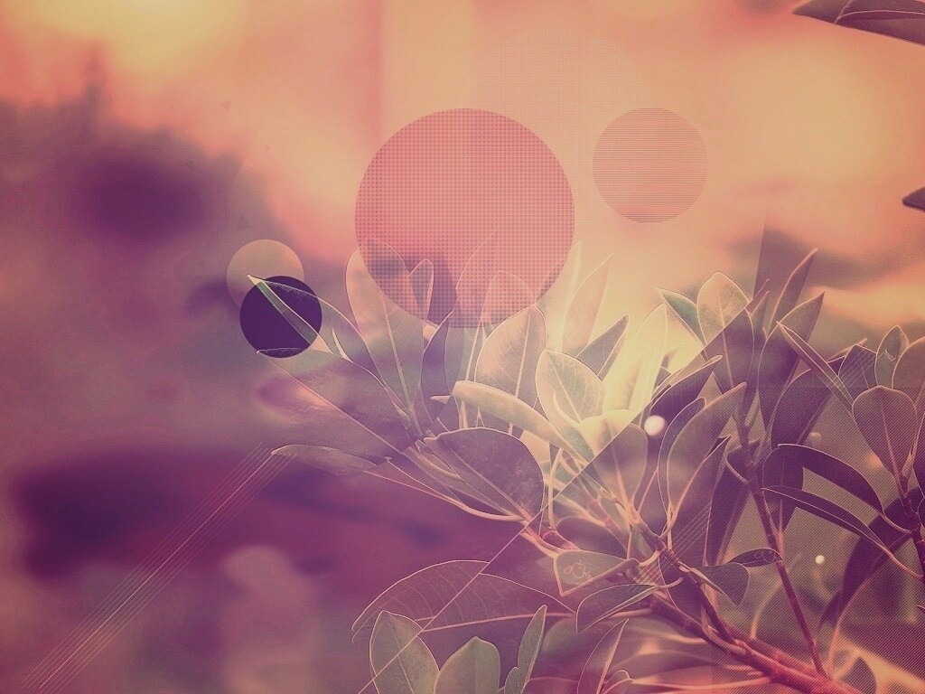 Синий фильтр с кргуами на фото листьев обои