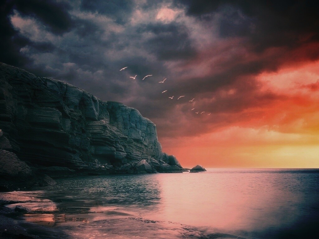 Чайки над скалами обои