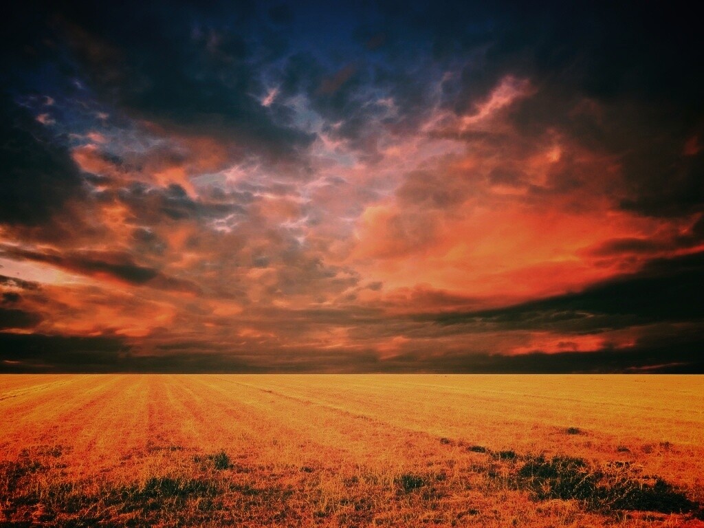 Тучи над желтым полем обои