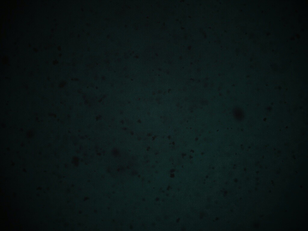 Черные пятна на сером фоне обои