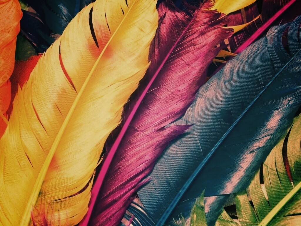 Разноцветные перья обои