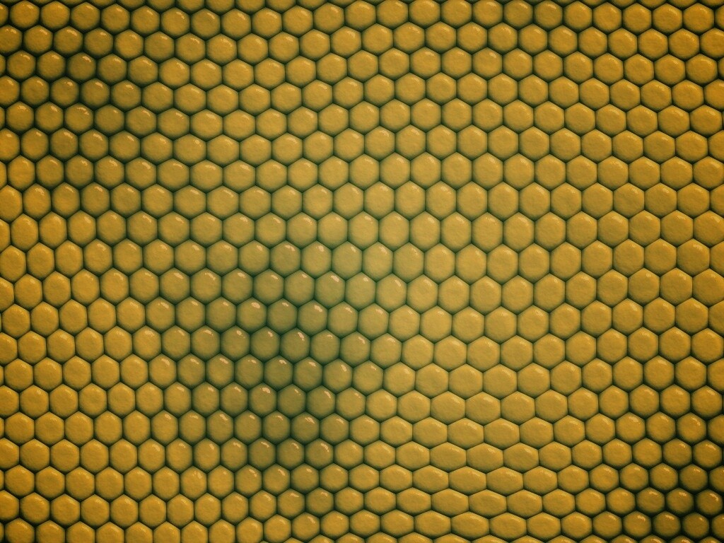 Зеленая сотообразная структура обои