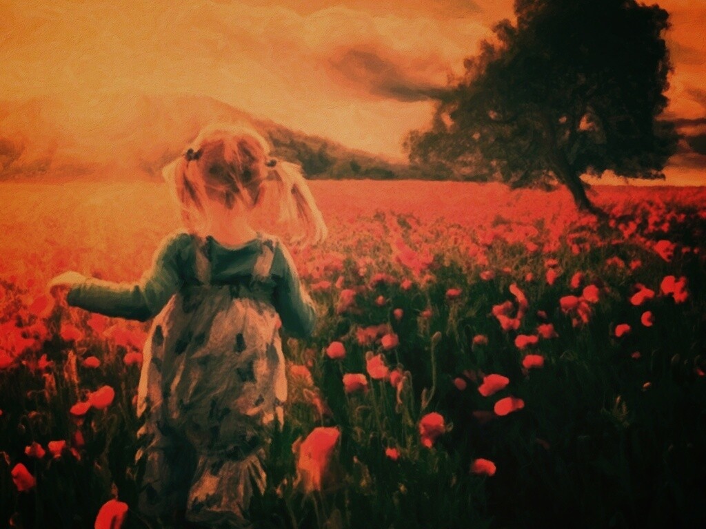 Девочка на маковом поле обои