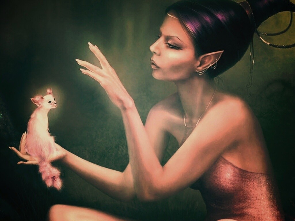 Почет и процветание обои