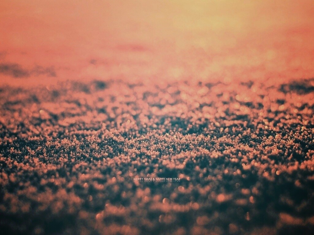 Снежный покров обои