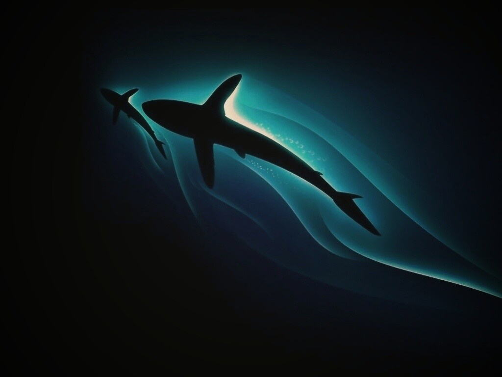 Рыбы в глубине обои