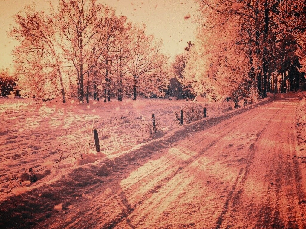 Снежная дорога залитая солнцем обои