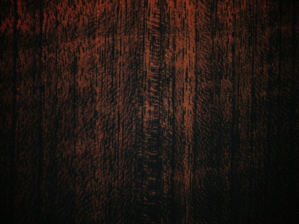 Темно-оранжевое дерево обои