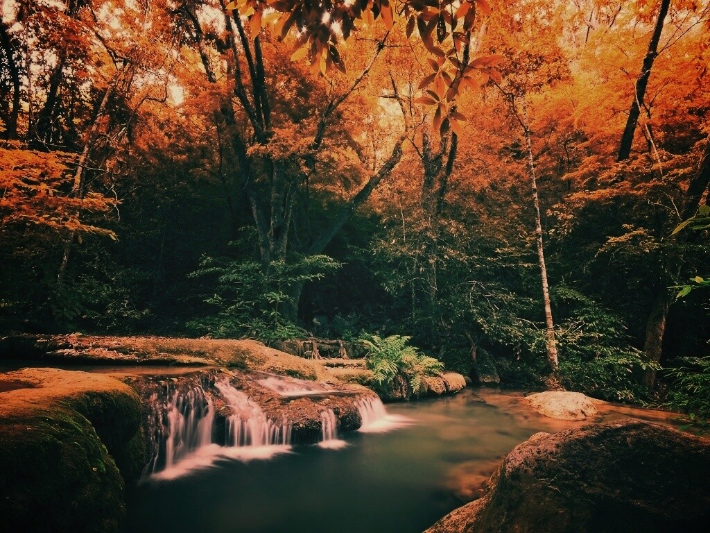 Водопадик в осеннем лесу обои