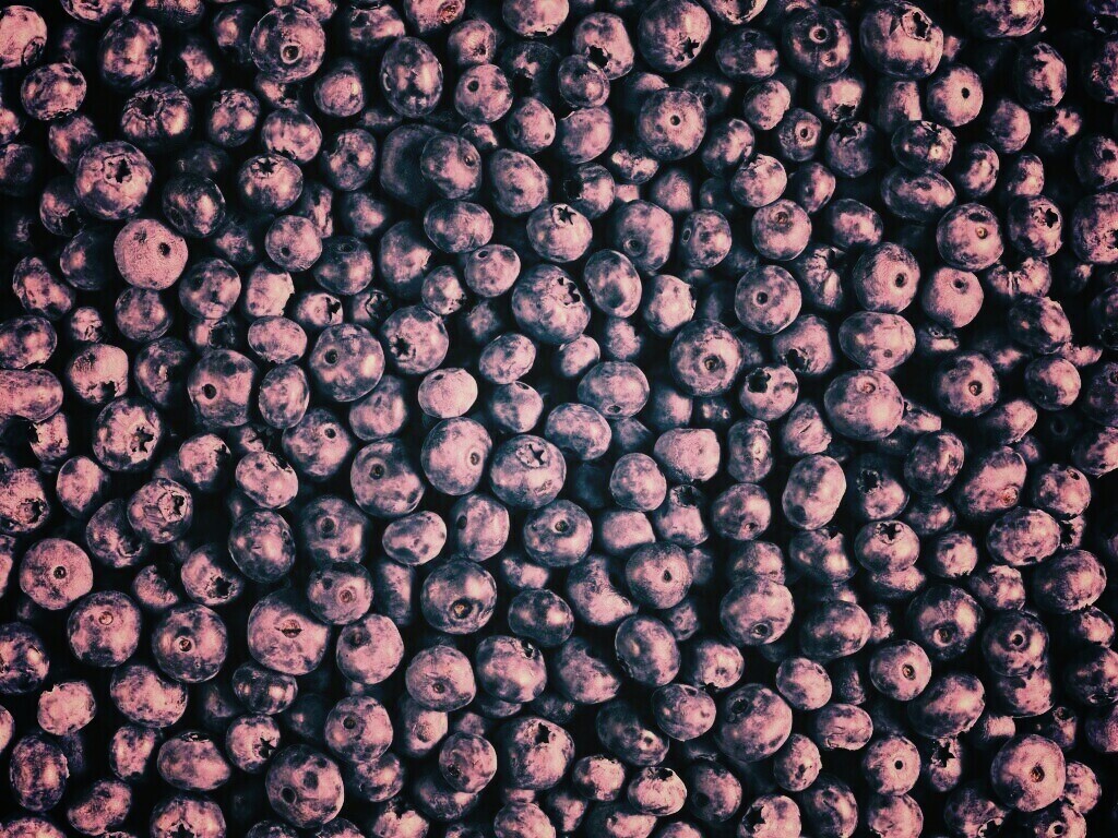 Черника обои