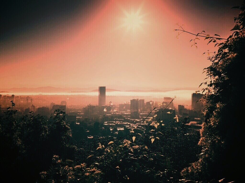 Утро в раю обои