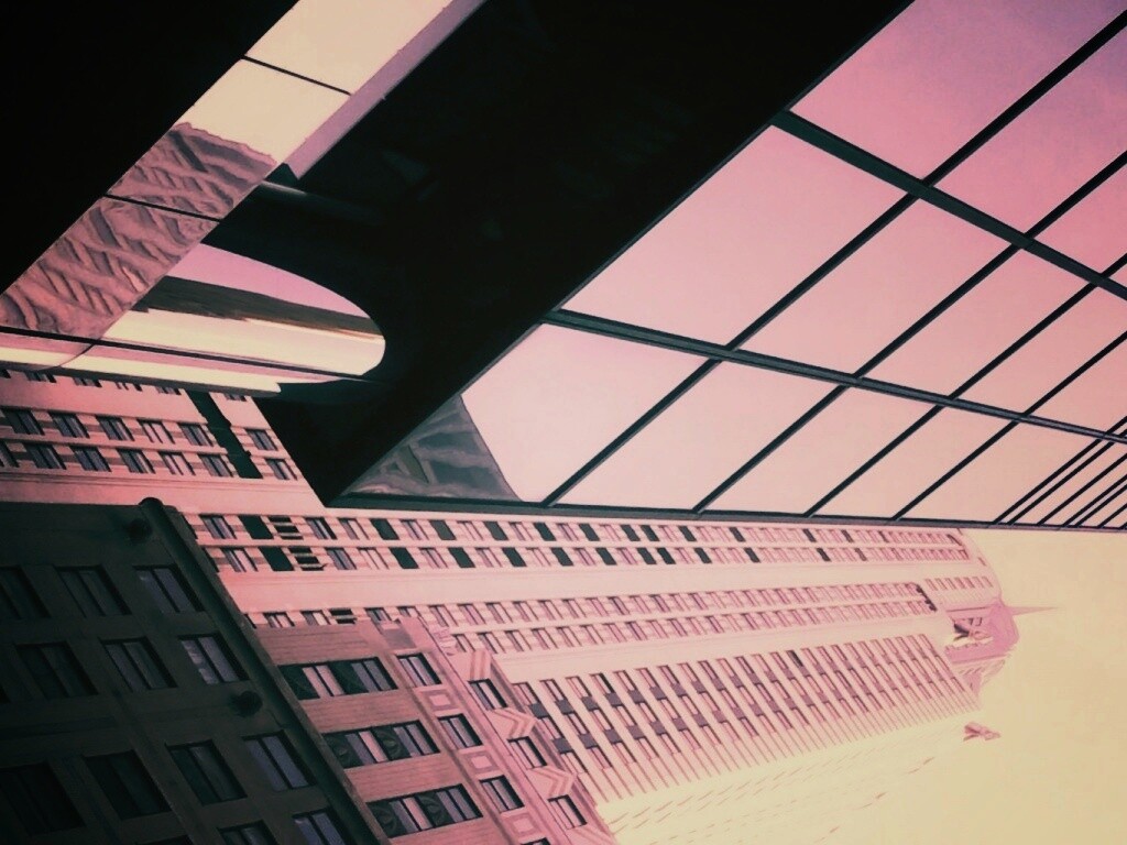 Взгляд вверх обои