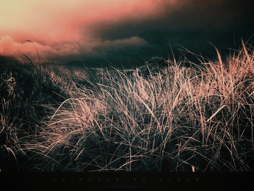 В ожидании шторма обои