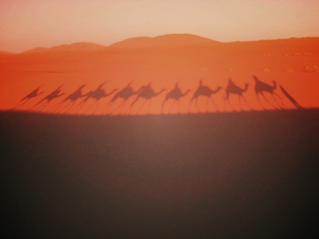 Караван обои