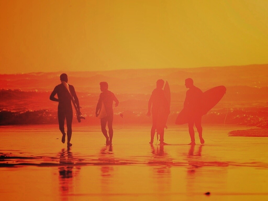 Серфингисты обои