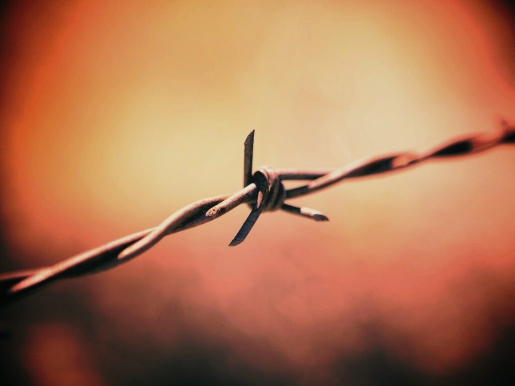 Фото колючей проволоки обои