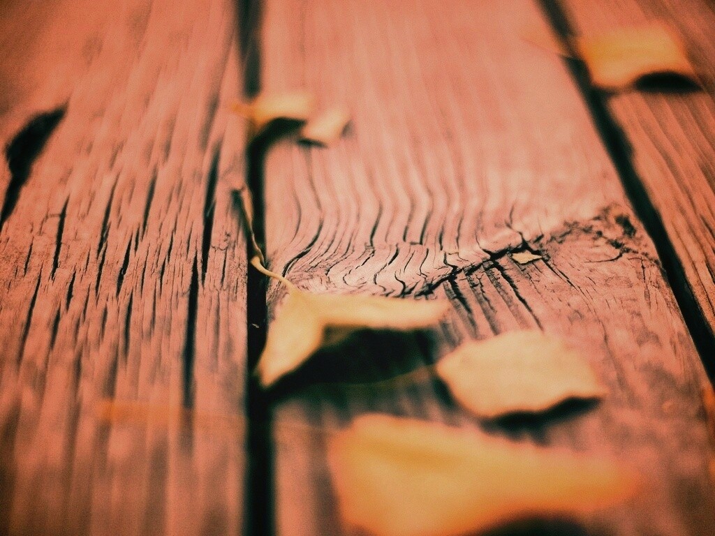 Листья на дощатом полу обои