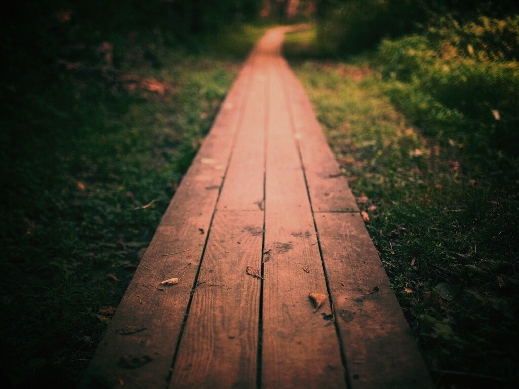 Деревянная тропинка обои