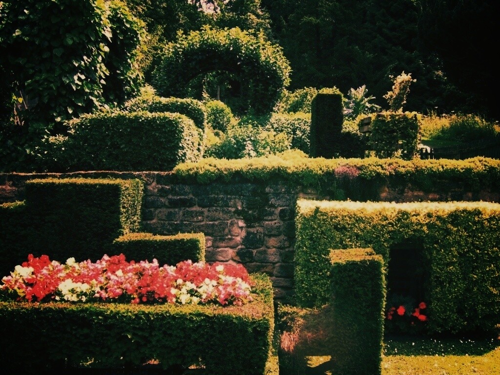 Декоративный сад обои