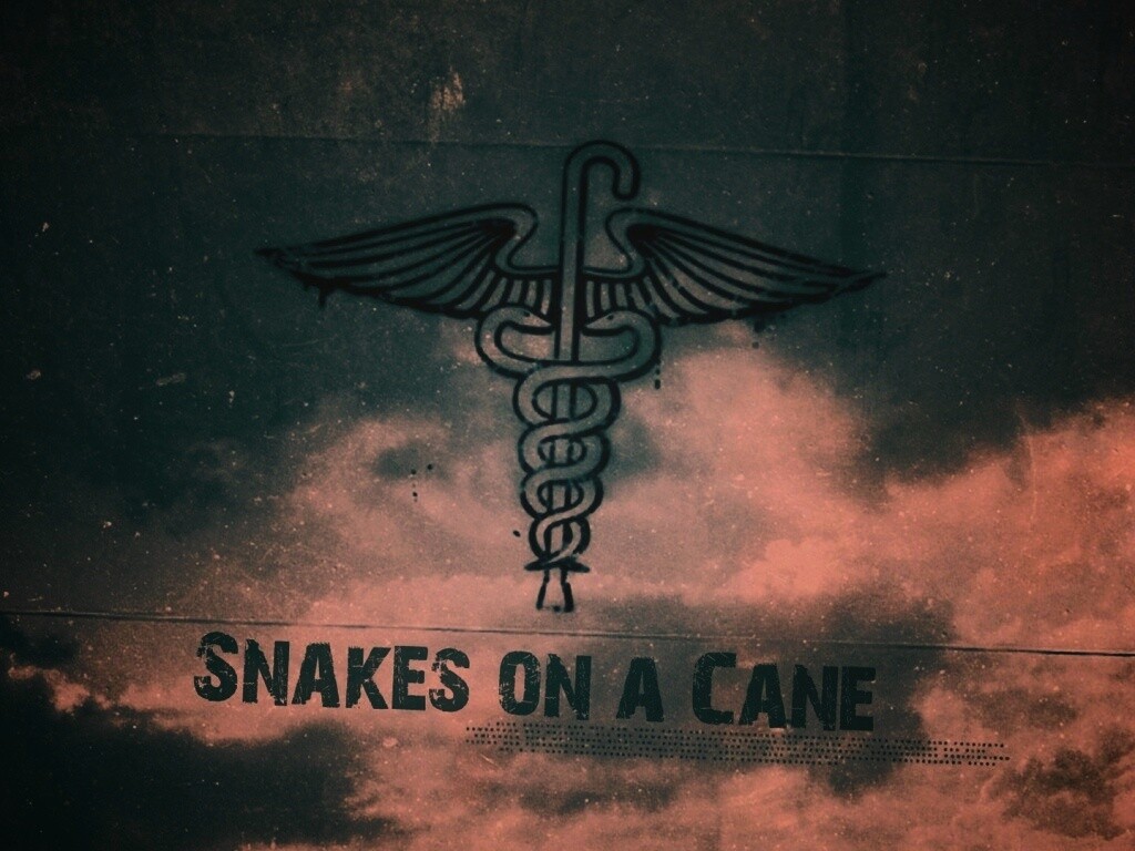 Змеи на трости обои