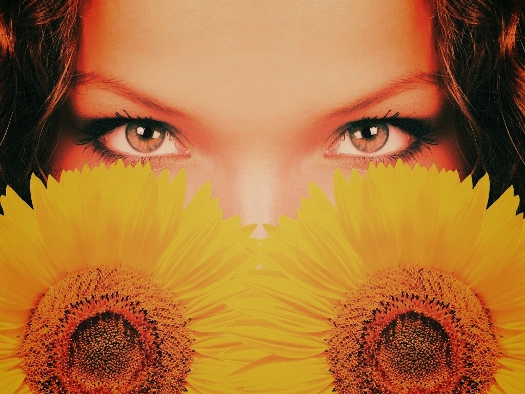 Девушка с желтыми ромашками обои