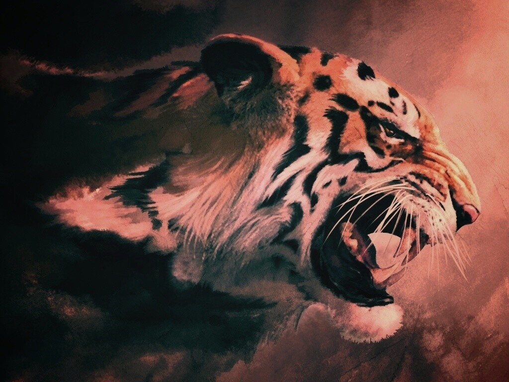 Картина с тигром обои