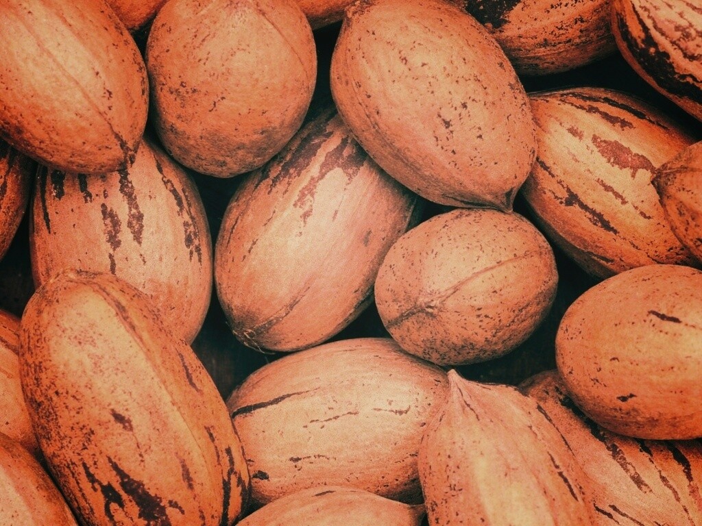 Грецкие орехи обои