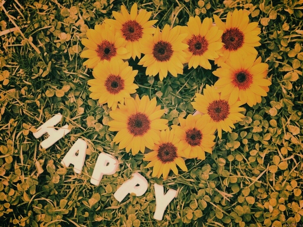 Радость обои