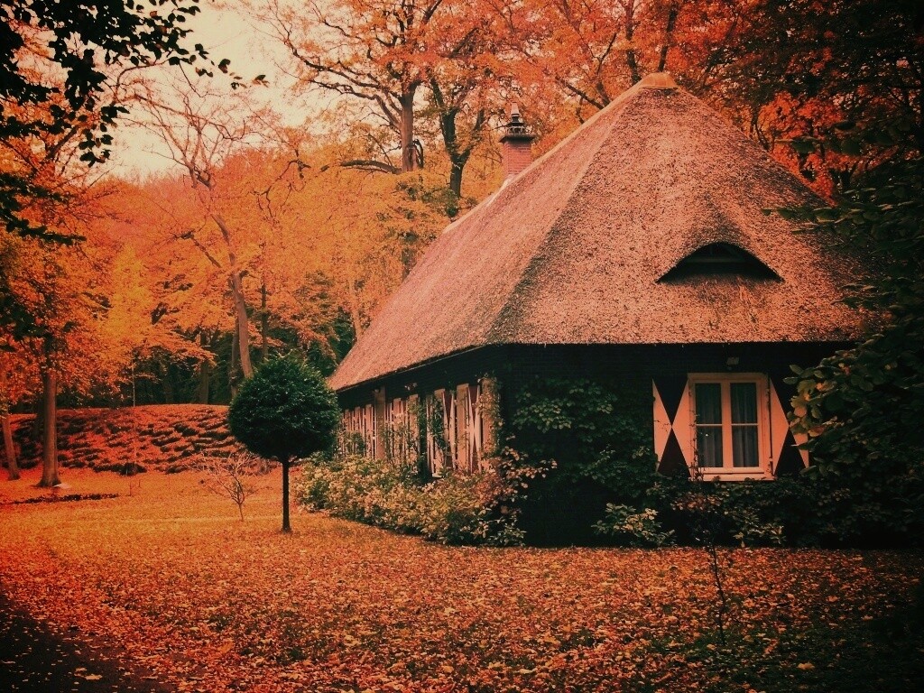 Домик в осеннем лесу обои