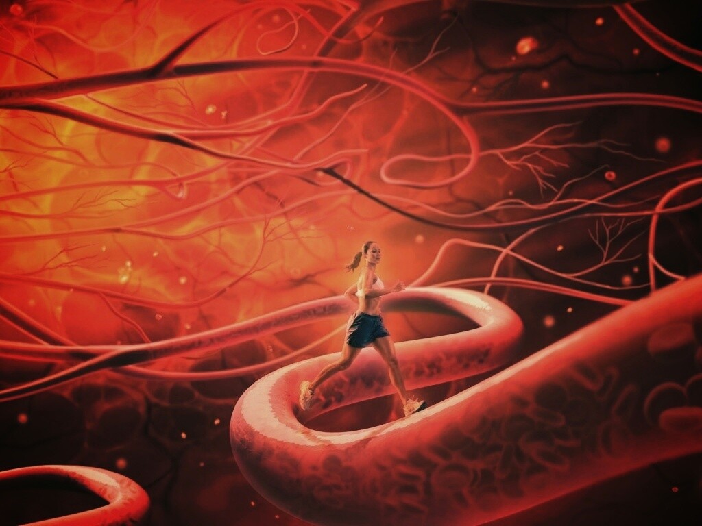 Бег крови обои