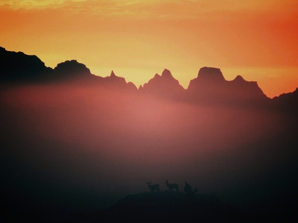 Вечер в национальном парке обои