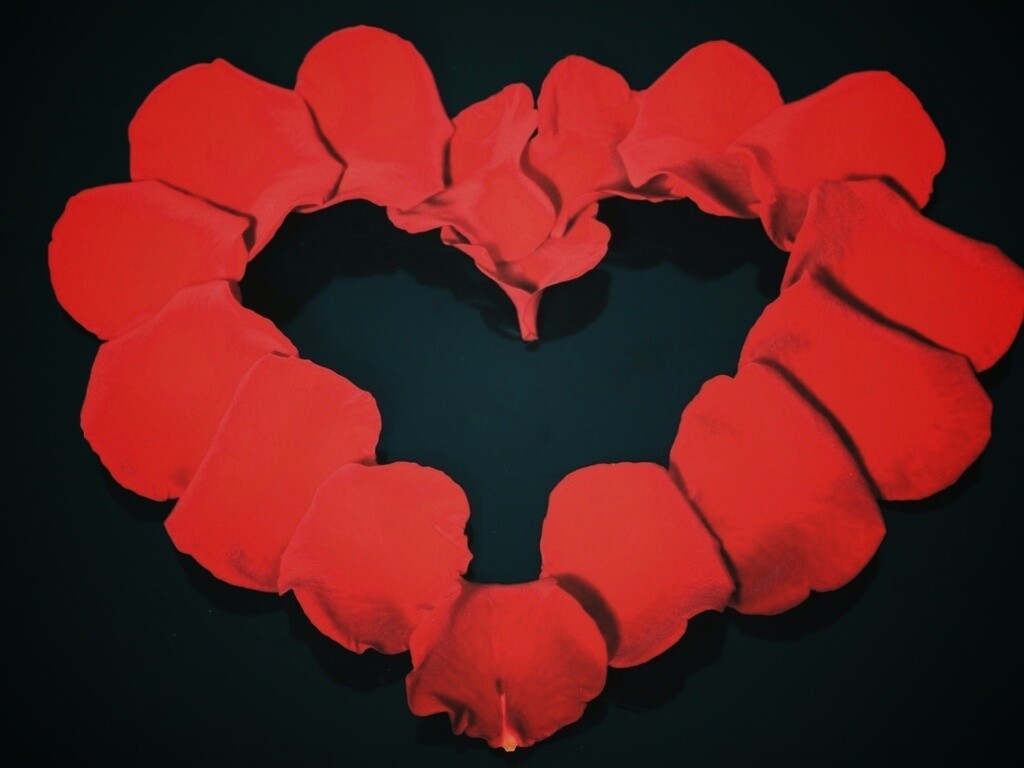 Красивое сердце обои