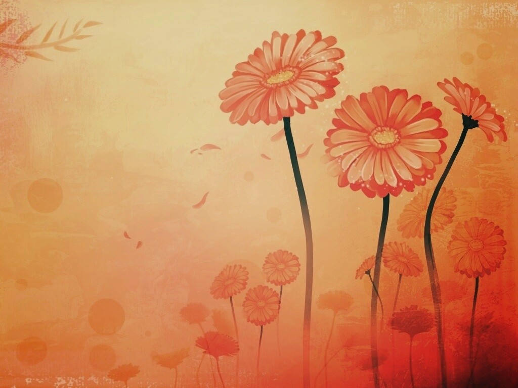 Векторные ромашки обои