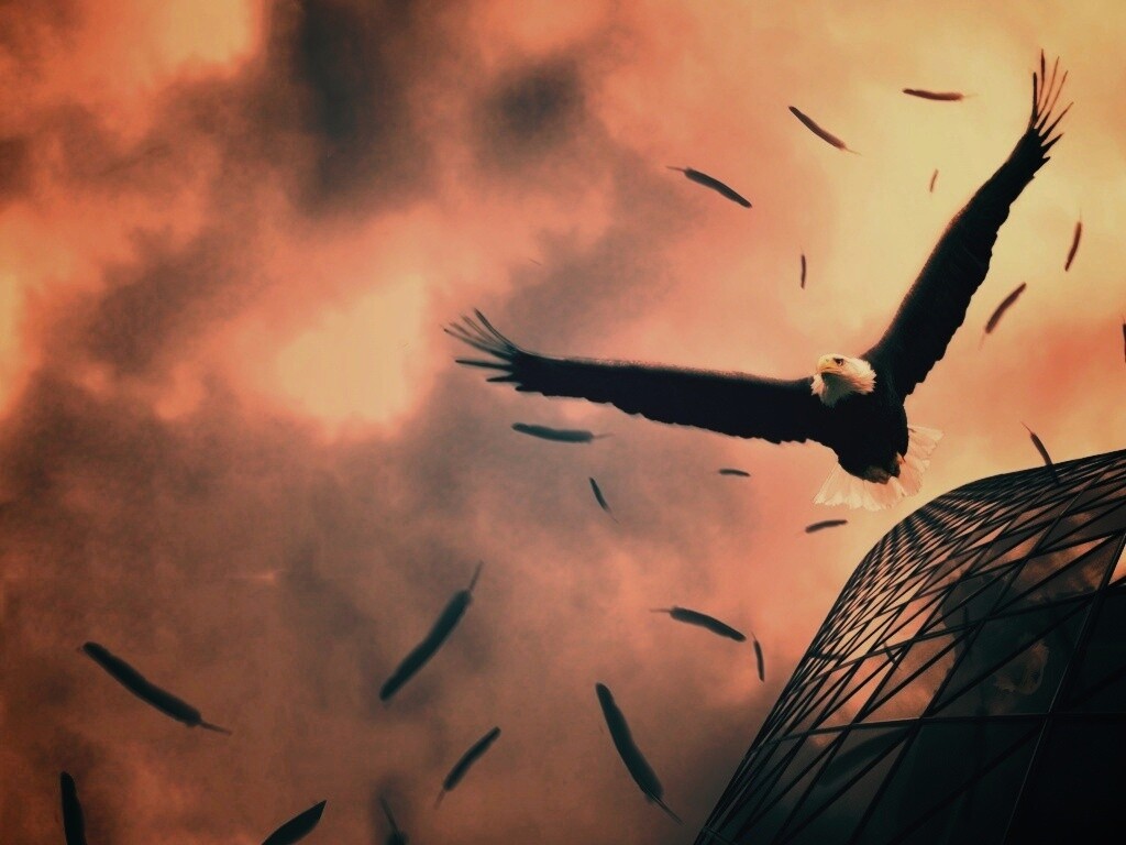 Орлиный полет обои