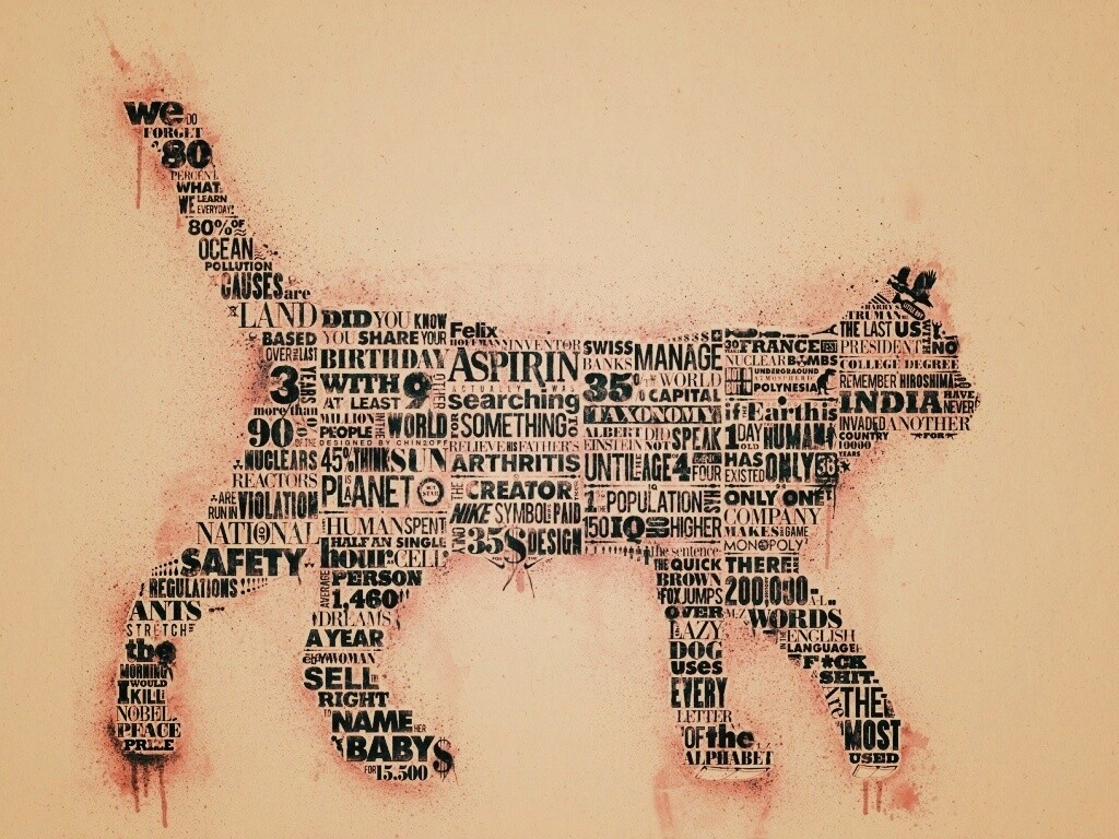 Кот - газета обои