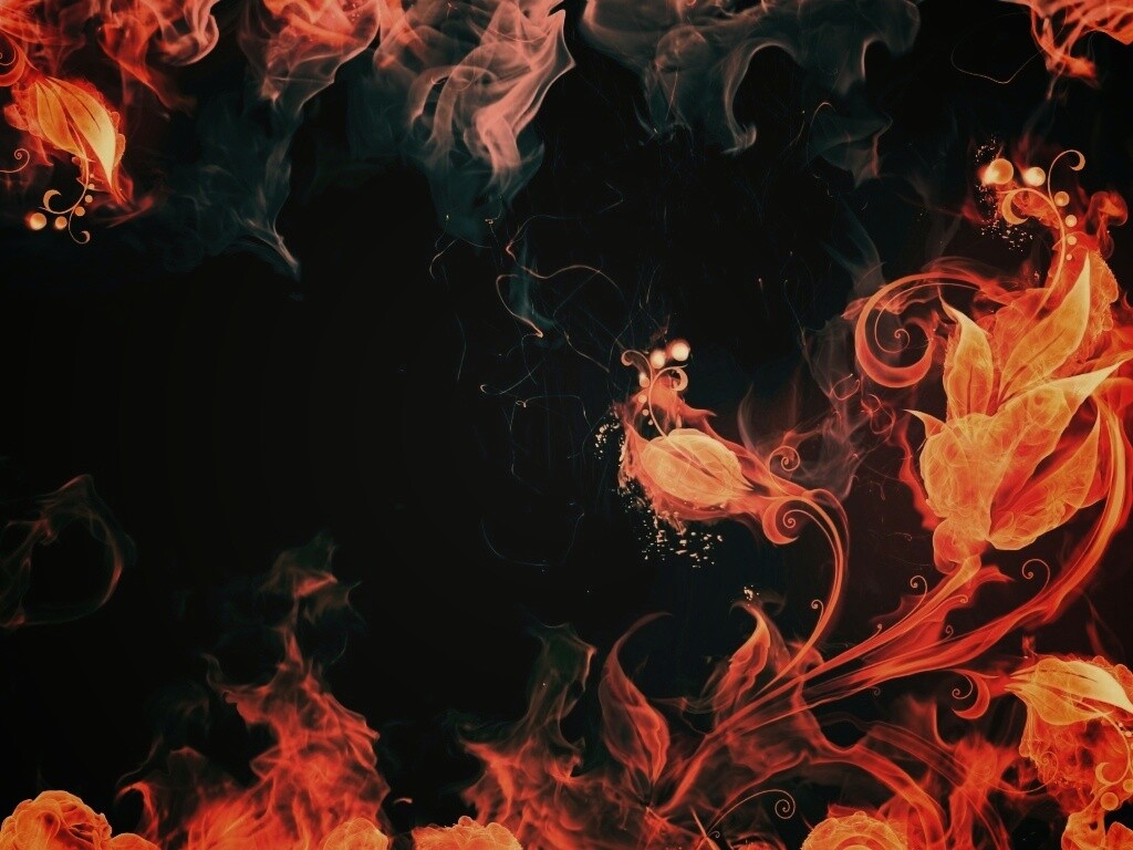 Огненные цветы обои