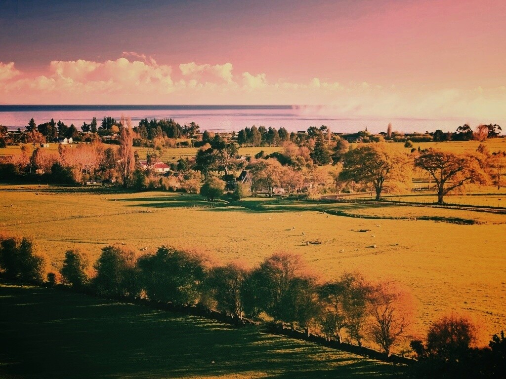 Сельская природа обои