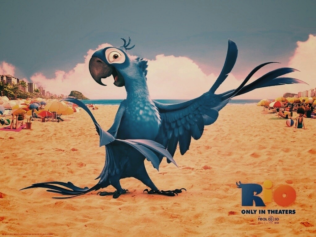 Blu из Rio обои