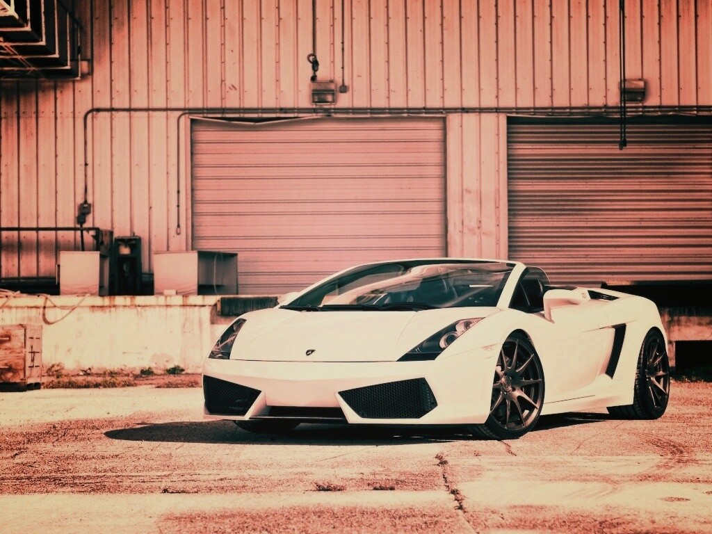 Белый спорткар Ламборгини Галлардо обои